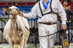 2A9A5705-30481 2A9A5705-30481