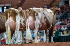 DSC09995-3 DSC09995-3