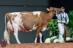 DSC09998-3 DSC09998-3