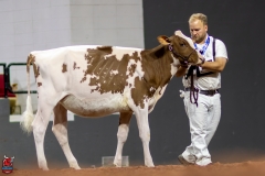 2A9A0003-Edit 2A9A0003-Edit