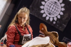 2A9A9933-Edit 2A9A9933-Edit