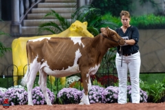 A104206-30019 A104206-30019