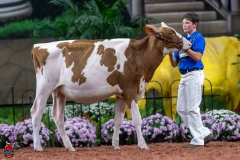 A104242-30026 A104242-30026