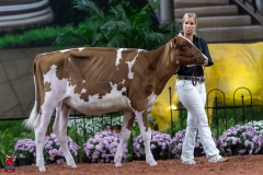 A104243-30027 A104243-30027