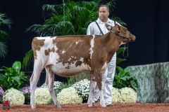 A104274-30033 A104274-30033