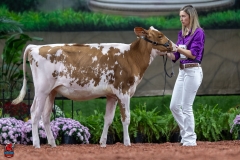 A104278-30034 A104278-30034