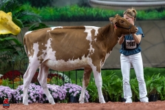 A104312-30041 A104312-30041