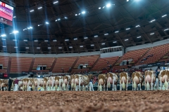 AR300015-2 AR300015-2