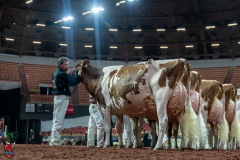 AR309986-2 AR309986-2