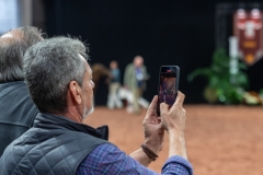 AR309993-2 AR309993-2