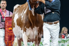 DSC09989-3 DSC09989-3