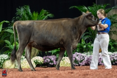 A104095-29139 A104095-29139