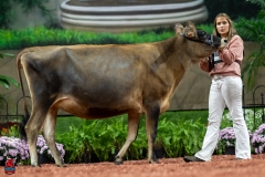 A104119-29140 A104119-29140