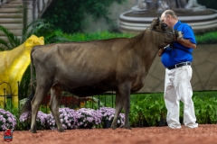 A104127-29141 A104127-29141