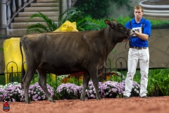 A104144-29142 A104144-29142