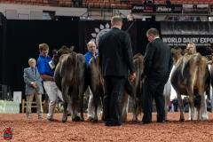 AR300770-29143 AR300770-29143