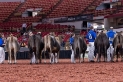 AR300774-29144 AR300774-29144