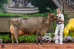 A109046-29500 A109046-29500