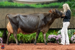 A109118-29507 A109118-29507