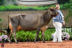 A109143-29510 A109143-29510