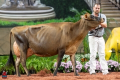 A109154-29511 A109154-29511