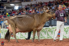 A109166-29513 A109166-29513