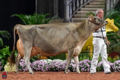 A109174-29514 A109174-29514