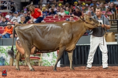 A109186-29515 A109186-29515