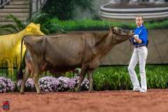 A109193-29516 A109193-29516