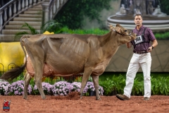 A109213-29518 A109213-29518