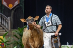 A109222-29526 A109222-29526