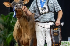 A109223-29527 A109223-29527