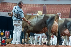 AR307979-29519 AR307979-29519