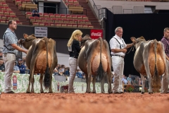 AR307987-29520 AR307987-29520