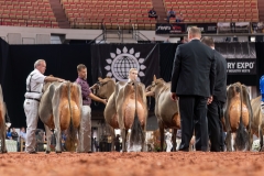 AR307991-29521 AR307991-29521