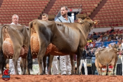 AR308000-29523 AR308000-29523