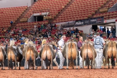 AR308007-29525 AR308007-29525