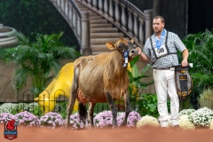 DSC09775-29528 DSC09775-29528