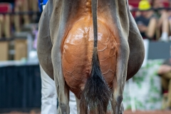 A109632-29595 A109632-29595