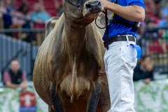 A109645-29599 A109645-29599