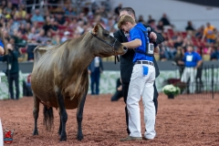 A109652-29602 A109652-29602