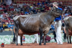 A109672-29604 A109672-29604