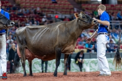 A109673-29605 A109673-29605