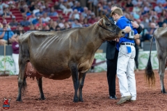 A109675-29606 A109675-29606