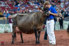 A109721-29608 A109721-29608