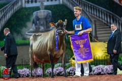 A109777-29610 A109777-29610