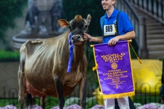 A109780-29611 A109780-29611