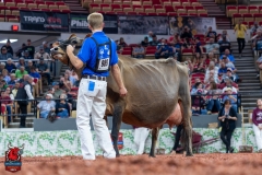 AR309787-29600 AR309787-29600