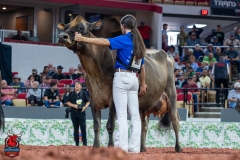 AR309788-29601 AR309788-29601