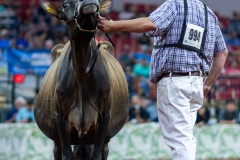 A109794-29630 A109794-29630